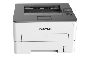 PANTUM P3302DW Monochrome Laser Printer with Wireless, Networking and Duplex Printing